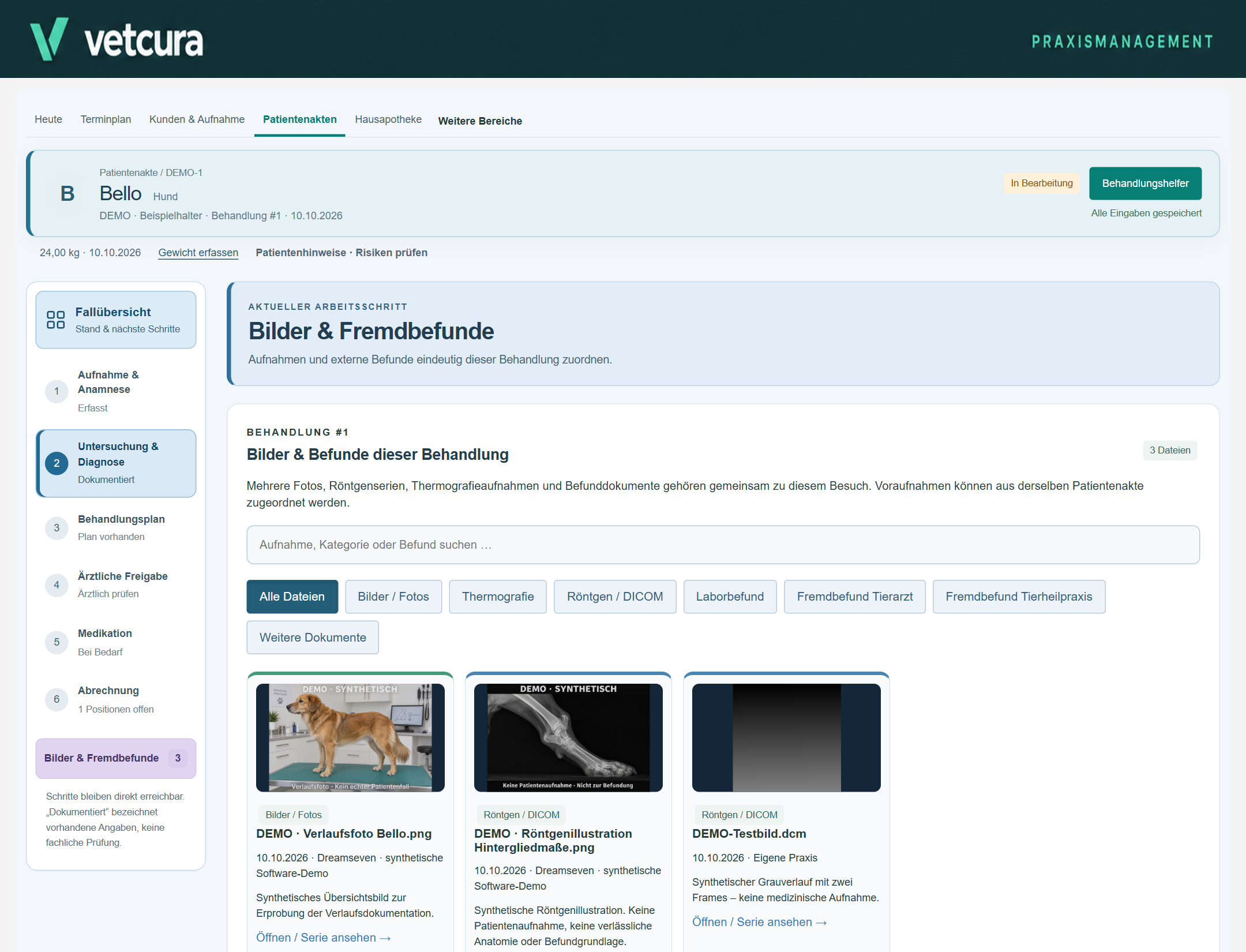 Vetcura – Bilder und Fremdbefunde mit fiktiven Beispieldaten